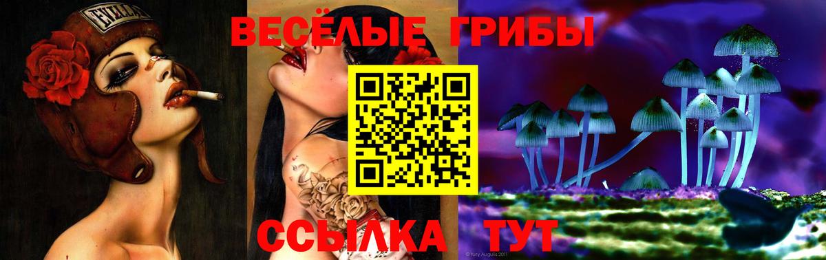 Донской  Галлюциногенные грибы GOLDEN TEACHER  Вход с VPN  Галлюциногенные грибы мицелий 